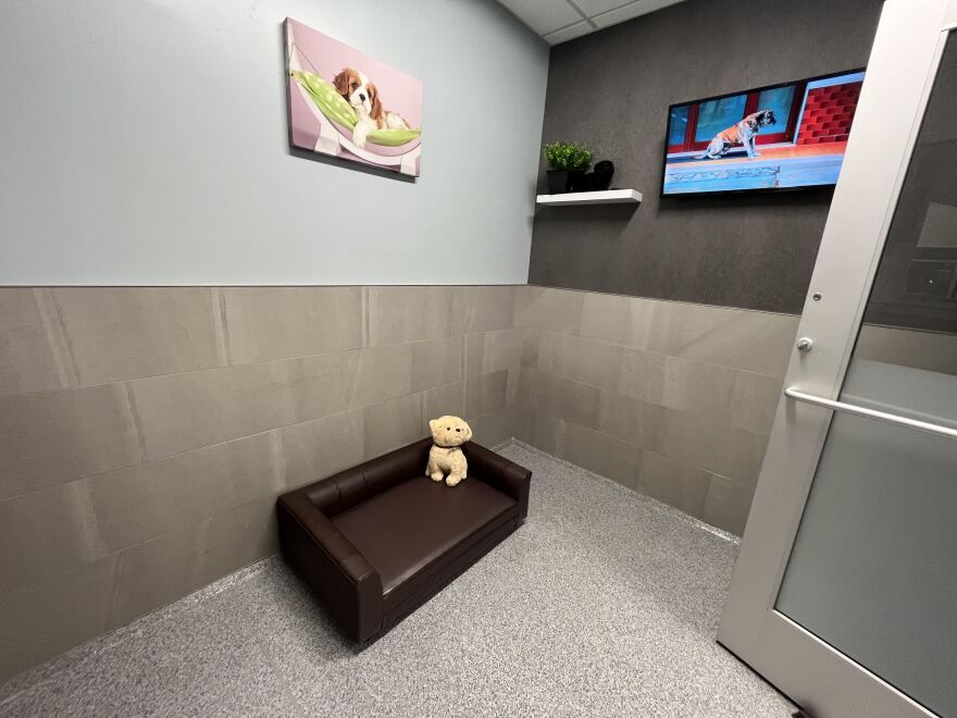 New Bethlehem luxury boarding resort treats Kings, Princesses and Fidos like royalty New Bethlehem luxury boarding resort treats Kings, Princesses and Fidos like royalty