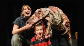Frontpage Slider Edits - Erth Dinosaur Zoo