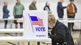 YE Year in Democracy