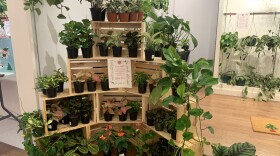 The Wicked Botanist