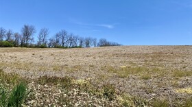 IMG_2757.jpg