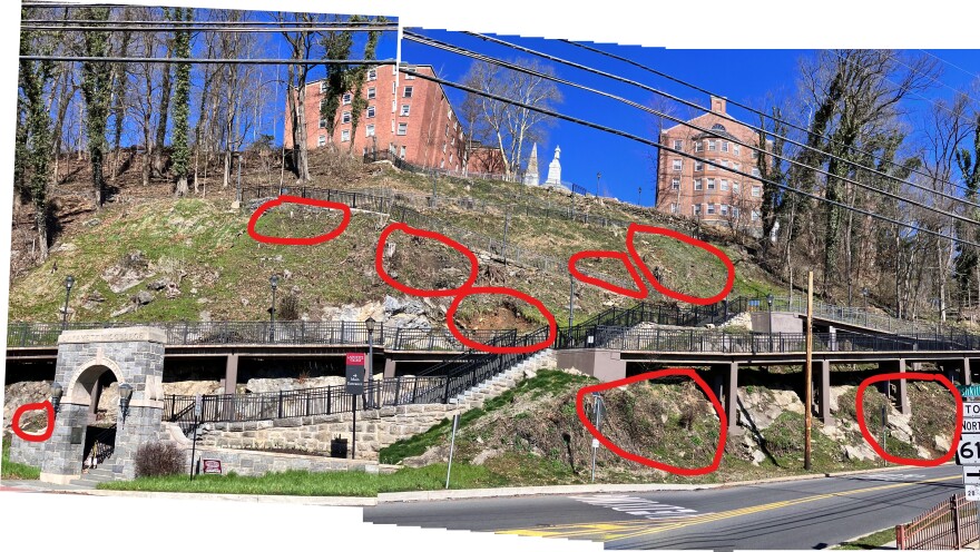Lafayette Hillside March 2024