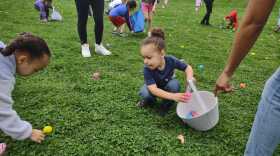 Marcel Rivera egg hunt
