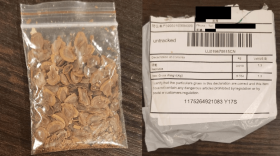 seeds-in-the-mail