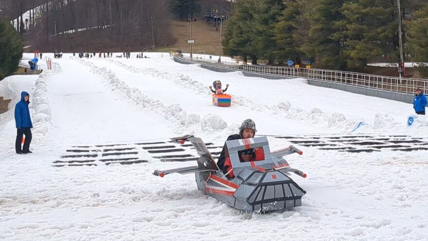 Bear creek mountain cardboard box race