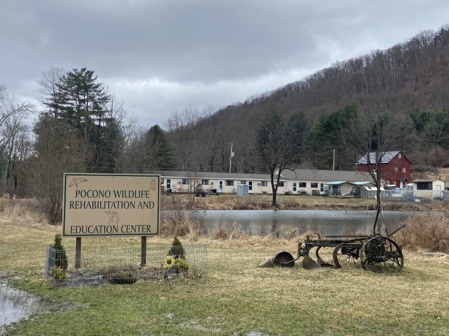 Pocono Wildlife Rehabilitation and Education Center