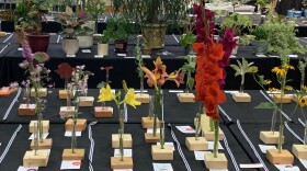 Bethlehem Flower Show