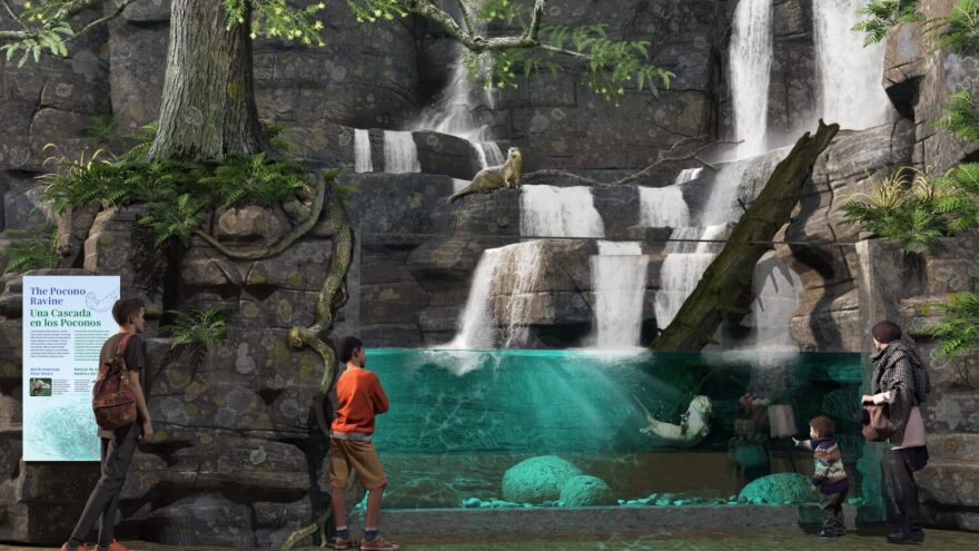 Da Vinci otter habitat