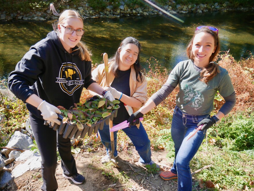 Wildlands Conservancy Bushkill Creek wildflower planting