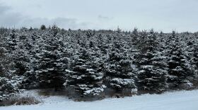 Snow