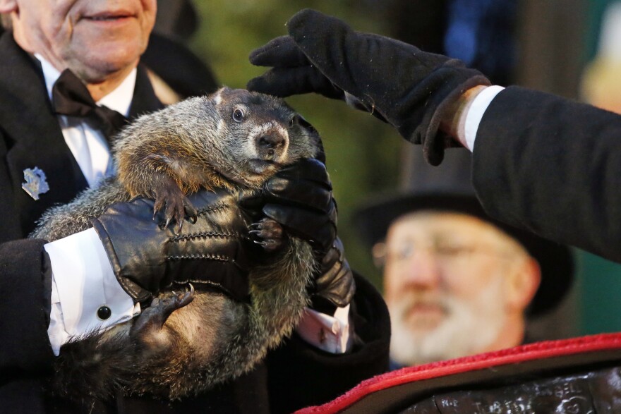 Punxsutawney Phil