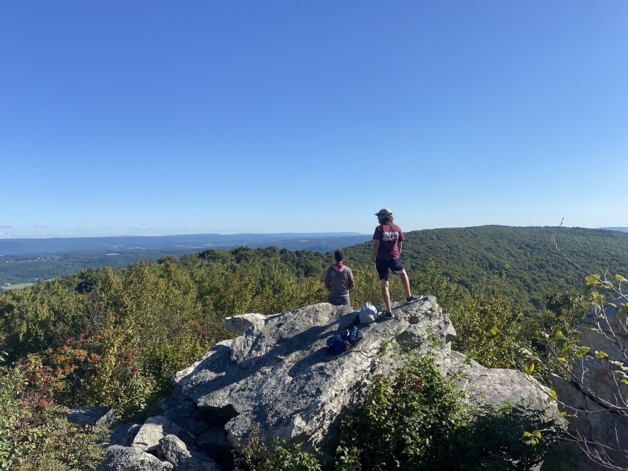 Bake Oven Knob Autumn Hawk Watch