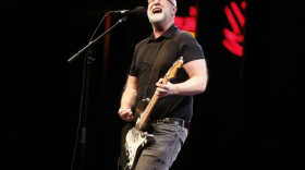 Bob Mould