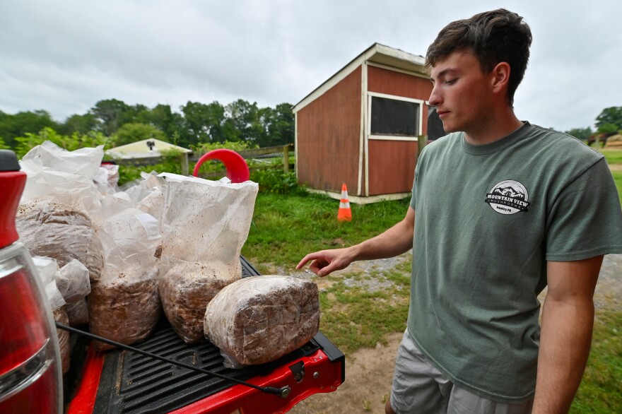Hunter Vargo takes logs inoculated with fungus spores off his truck.  