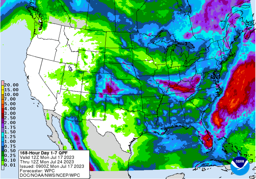 QPF 7 Day