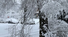 Icylimb.jpg