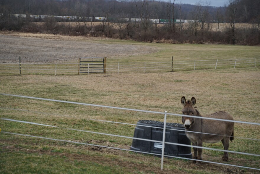  One of Hostetter's Pennsylvania neighbors had to evacuate their two donkeys. The train that derailed came to a halt on the edge of his neighbor's property.