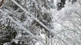 Electric wires covered in snow