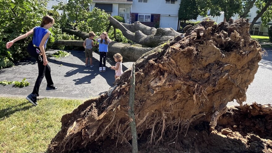 Storm damage