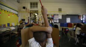 student-raises-hand-in-clasroom