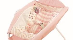 Recalled Fisher-Price Rock 'n Play Sleeper