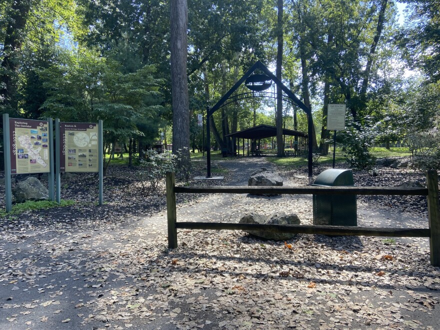 Easton's Hugh Moore Park leaf drop 2025