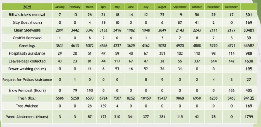 SouthSide Ambassadors 2025 data
