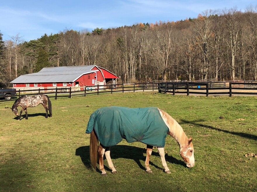 Newfoundland-PA-farm-1