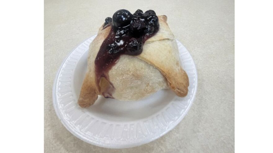 Allentown Fair Food 2023 6.jpg