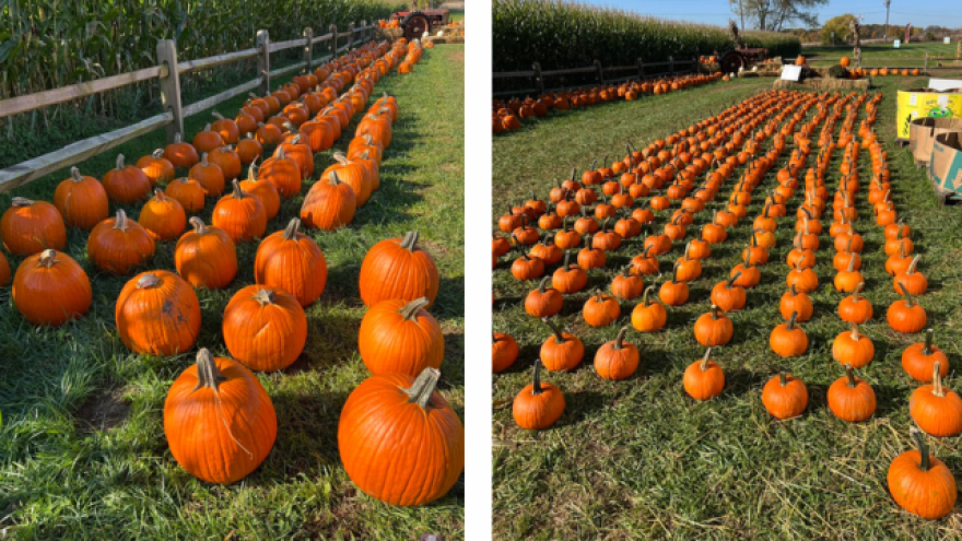 Valley Fruits and Veggies