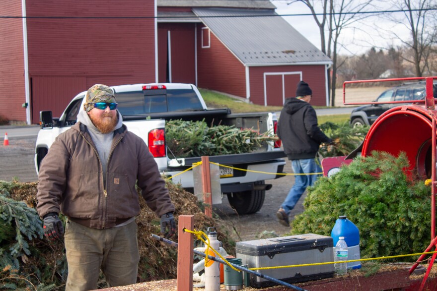 Unangst Tree Farms