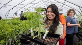 The Seed Farm Spring Plant sale