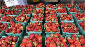 Strawberry baskets.jpg