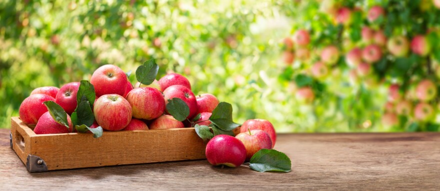 APPLE DAYS2.jpg