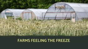 Pasa Sustainable Agriculture