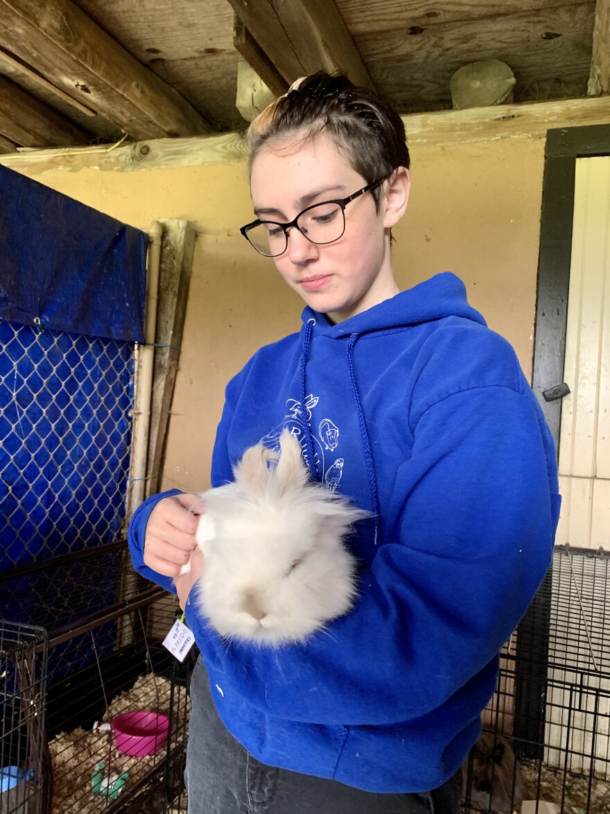 A teenager wearing a blue sweatshirt holds a white bunny in his arm.
