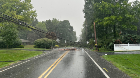 Severe Weather Poles Down