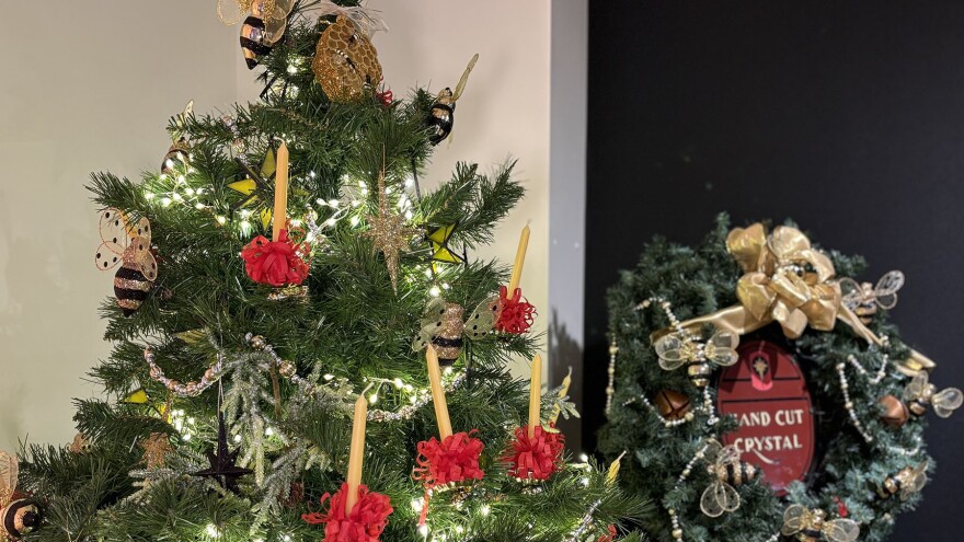 Trees of Historic Bethlehem