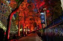 path in Dorney Park with trees and orange lighting