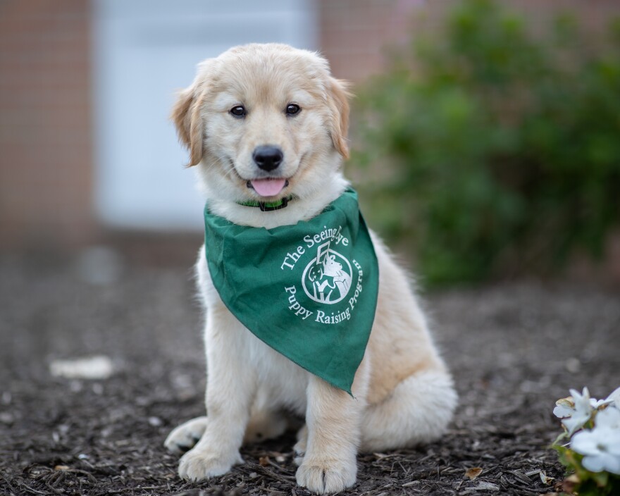 The Seeing Eye Pic 11.jpg