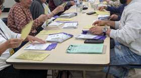Northampton County volunteers remove mail-in ballots from their envelopes.