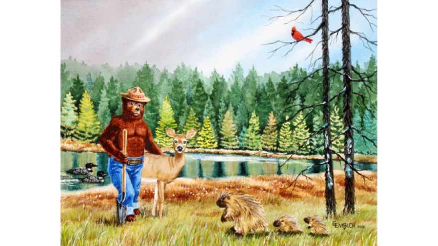 Smokey Bear: Michigan