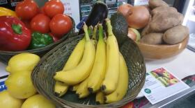 SNAP-food