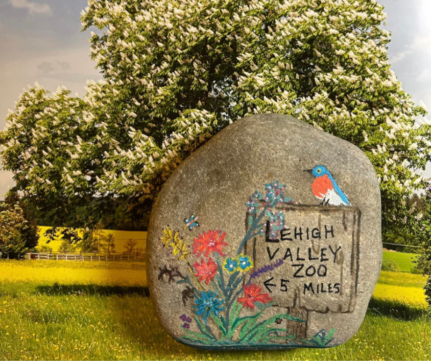 Lehigh Valley Zoo Rock