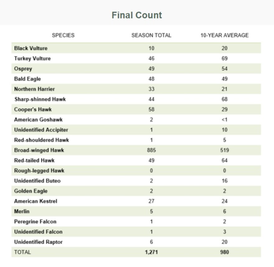 Hawk Mountain spring 2025 migration final count