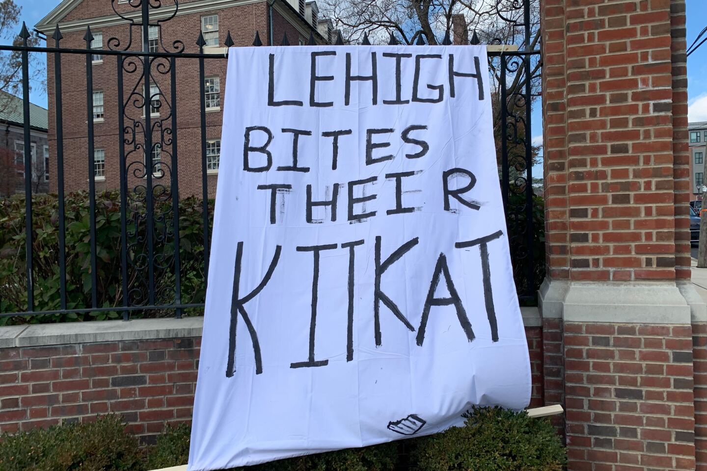 Lafayette College Banner