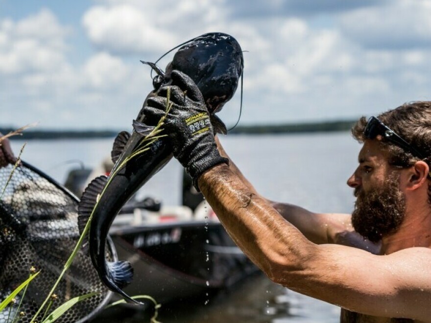 Rett Blake catches a blue catfish.