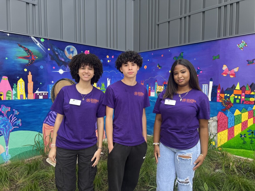 Da Vinci Summer Interns