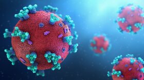 Structure of a coronavirus, illustration