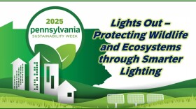 Lights Out – Protecting Wildlife and Ecosystems through Smarter Lighting